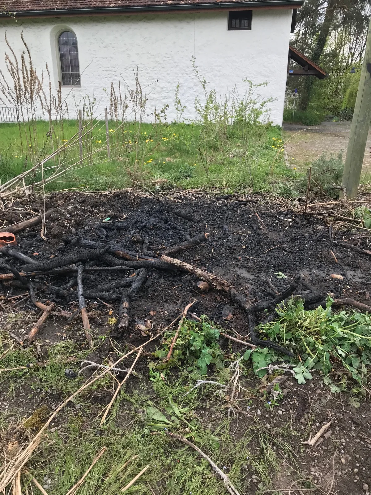 Bereits im letzten Monat ist im Wildbienengarten ein Feuer gelegt worden. Verkohlte Äste auf dem Boden.